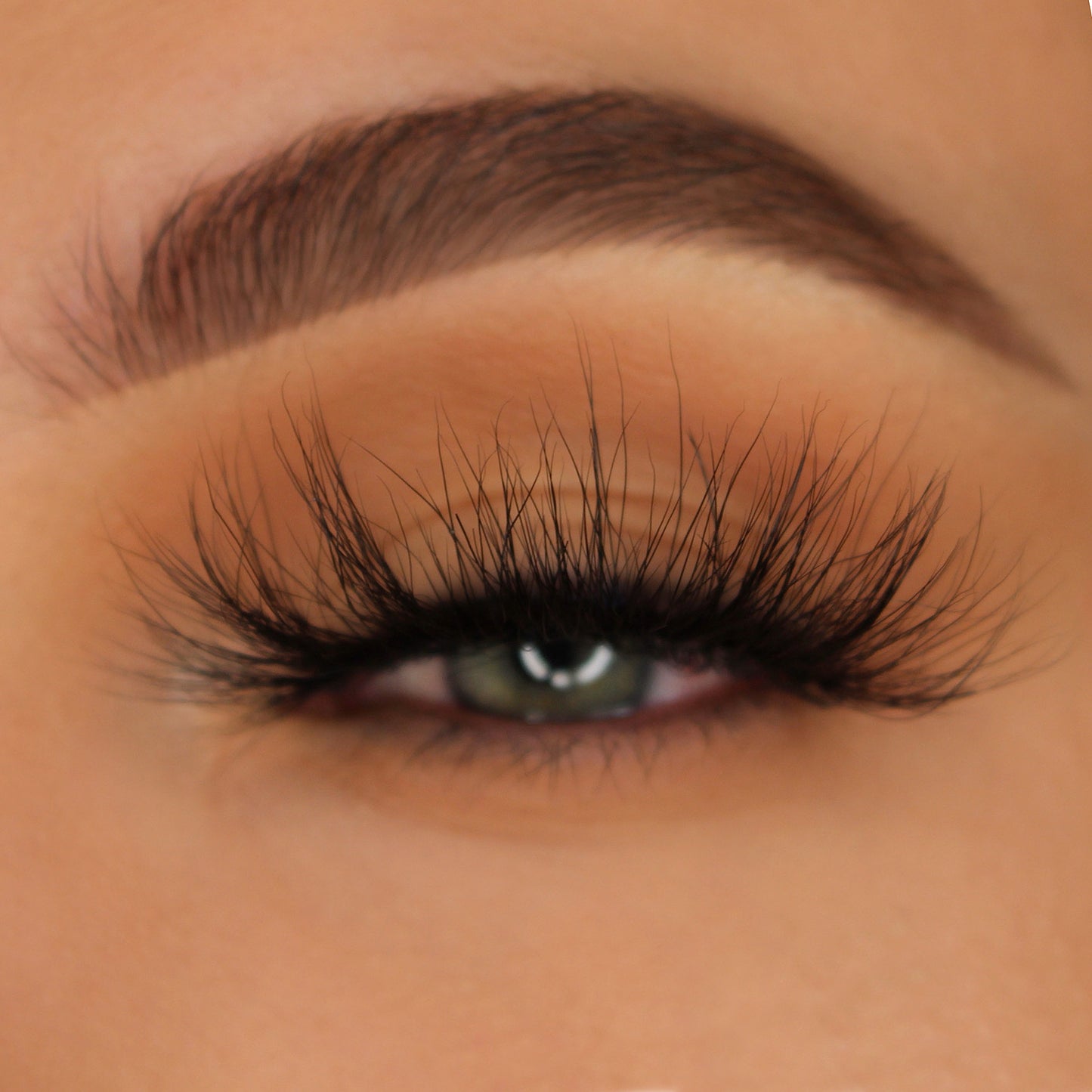 BELLA 25mm Lashes | Long Dramatic Volume False Eyelashes, Reusable Strip Lashes