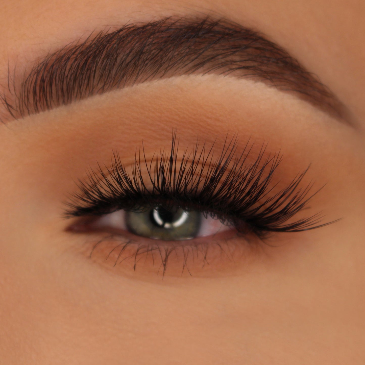 HEAVENLY Lashes | Dramatic Full Volume False Eyelashes, Reusable Strip Lashes