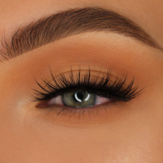 AMORETTE Lashes | Medium Volume Wispy False Eyelashes, Reusable Strip Lashes
